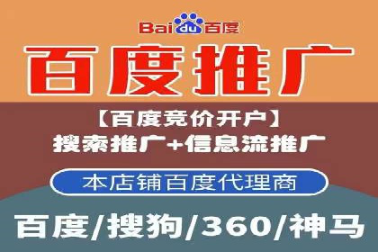百度推广公司案例解析：如何利用大数据优化营销策略